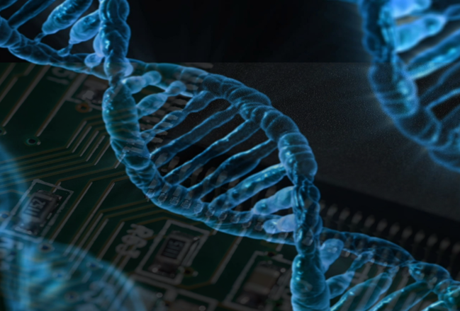 Scientists are building the world’s largest hard drive , made of DNA.